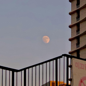 我和亲女疯狂性做爰
